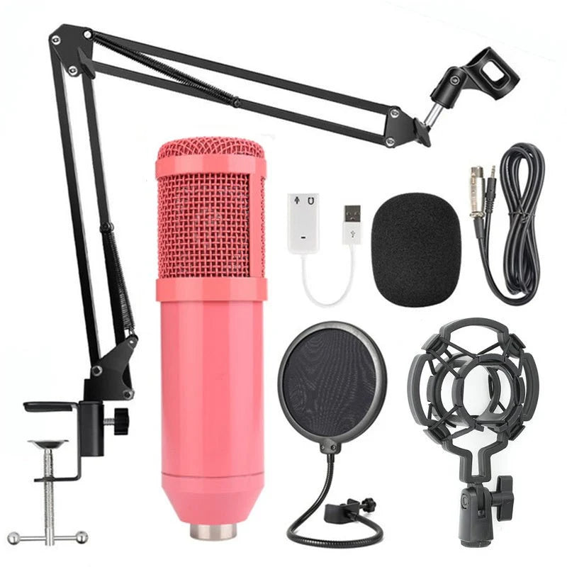 BM-800 Professional Condenser Microphone – ميكروفون BM-800 احترافي مكثف